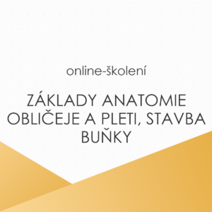 Základy anatomie obličeje a pleti, stavba buňky. Anatomické minimum pro kosmetičky