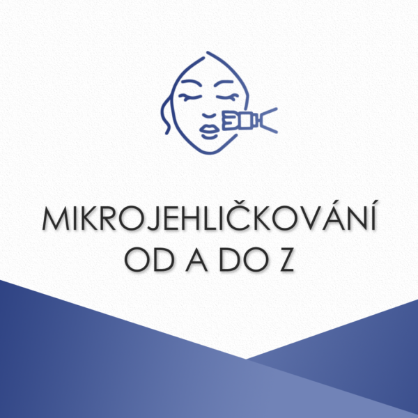 Mikrojehličkování od A do Z