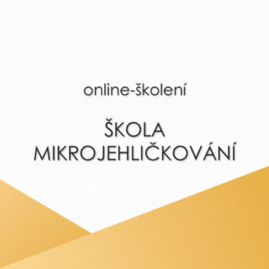 Mikrojehličkování od A do Z: podrobný on-line kurz